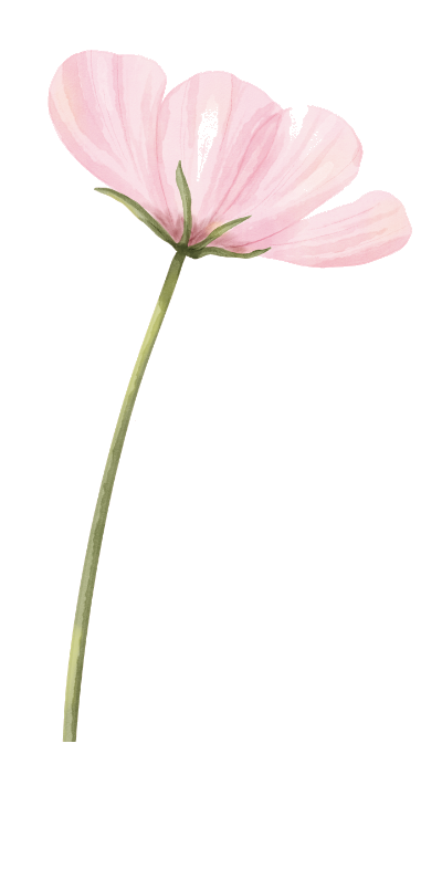 Blüte